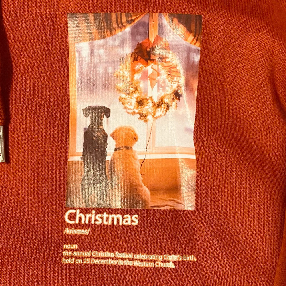 Christmas Hoodie Golden Retriever Puppy Brick Red Sweatshirt Men’s Size Small
